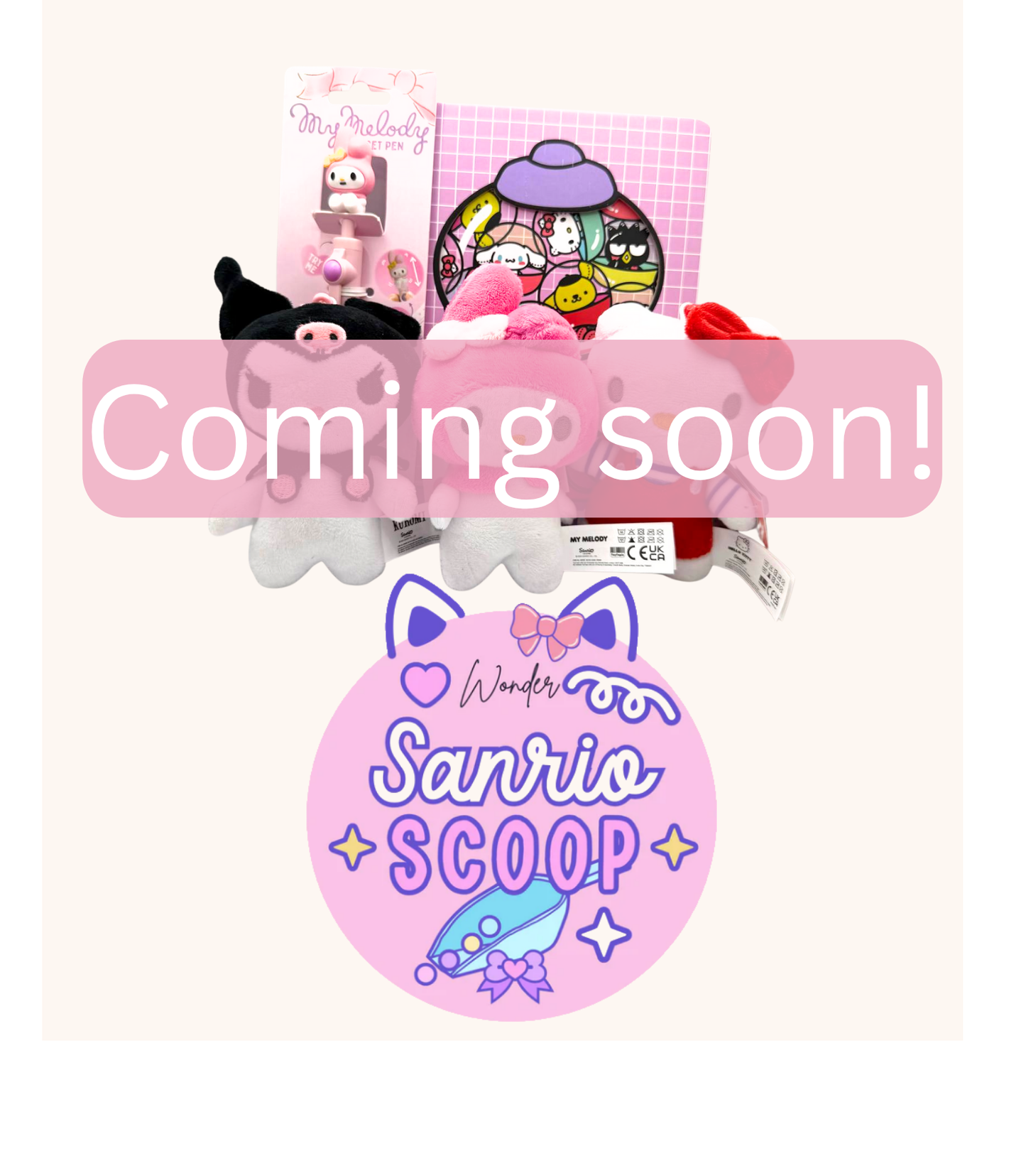 Sanrio Scoop | Wonder Mystery Bundle