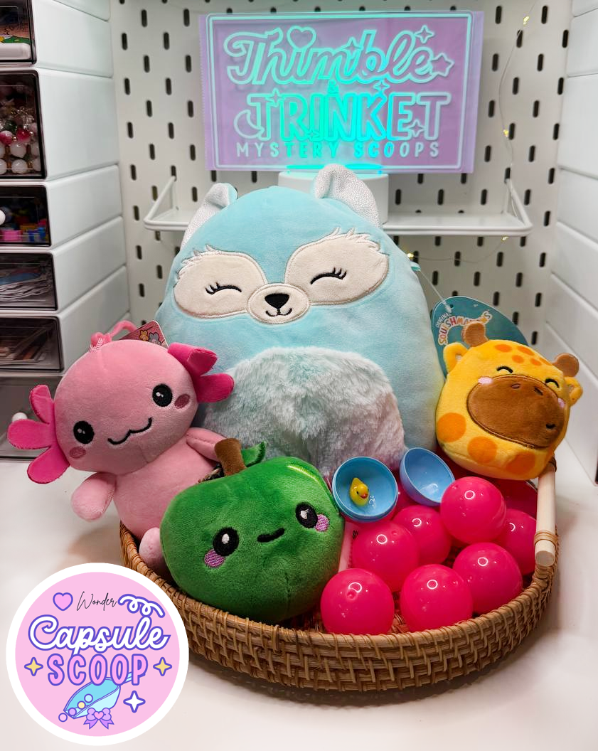 Capsule Scoop | Wonder Mystery Bundle