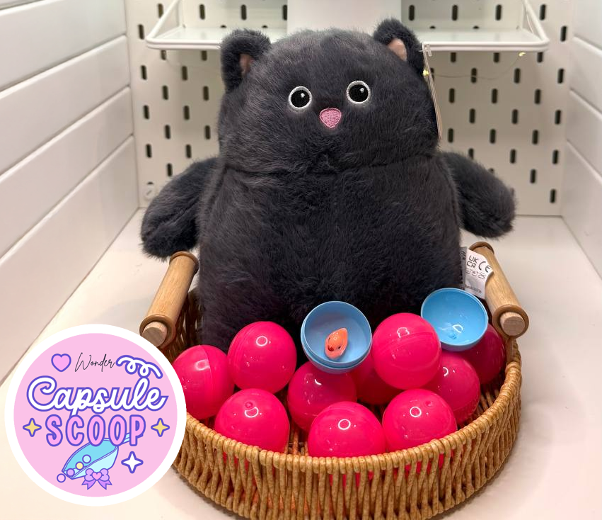 Capsule Scoop | Wonder Mystery Bundle