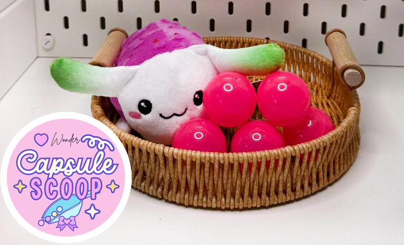Capsule Scoop | Wonder Mystery Bundle