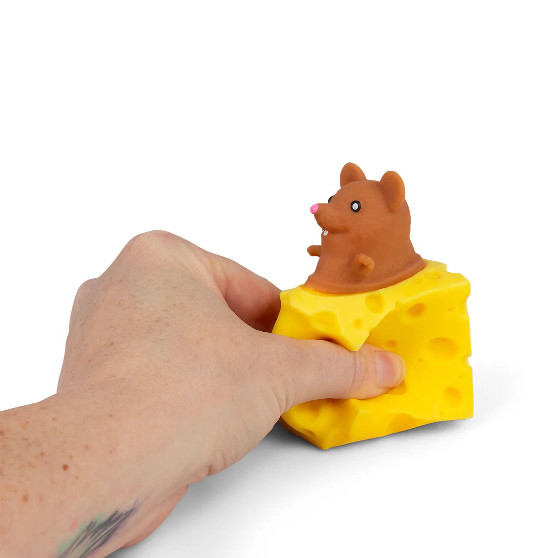 Pop Up Mouse with Cheese Fidget Sensory Toy