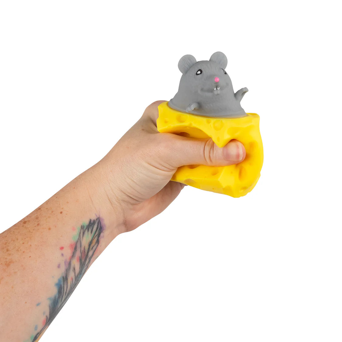 Pop Up Mouse with Cheese Fidget Sensory Toy